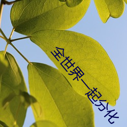 金年会(中国)官方网站