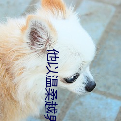 他以(yǐ)温柔(róu)越界