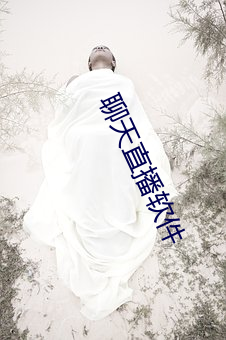 聊天(天)直(直)播软件