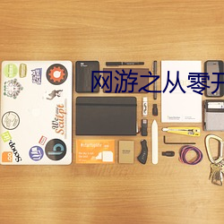 网游(yóu)之从零开始