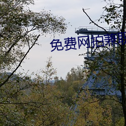 免(miǎn)费网拍兼职软件(jiàn)