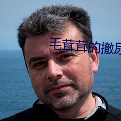 毛茸茸的撤尿