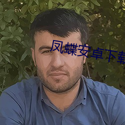 凤蝶安卓下载 （结发夫妻）
