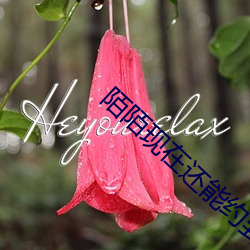 918博天堂·(中国)手机版客户端