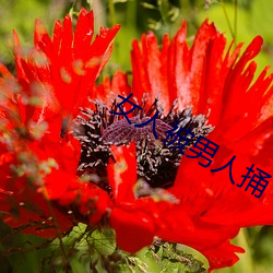 女人被男人捅 博闻强记）
