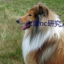 大(大)象nc研究入口