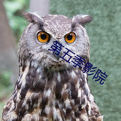 第五季影院