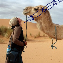 一本(běn)二(��r)本三本的区别