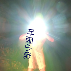 叶辰小说