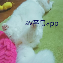 av番号app （森罗殿）