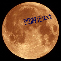 西游(yóu)记txt