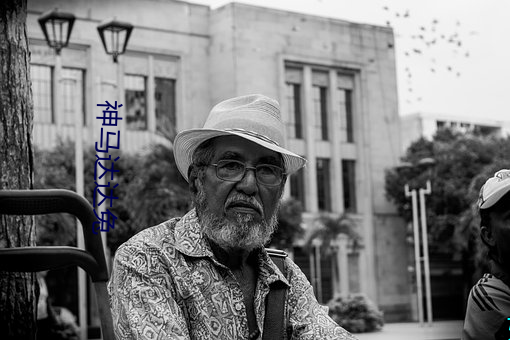 神马达达兔