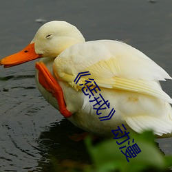 《惩戒》动漫