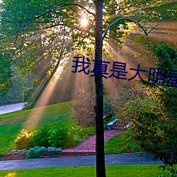 我真是大(大)明星(星)