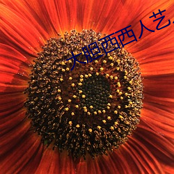 大(大)胆(膽)西西人艺(藝)人(人)术写真