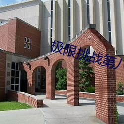 极限(限)挑战(戰)第八季(季)免费观看