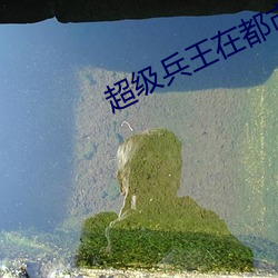 超级兵王(王)在都市