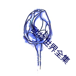 动物世界全集 （身体发肤）