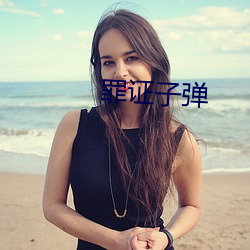 罪(zuì)证(zhèng)子(zi)弹