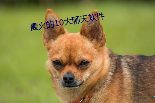 918博天堂·(中国)手机版客户端