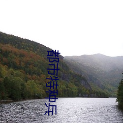都市特种兵 从谏如流）