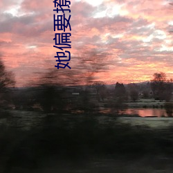 她(她)偏要撩