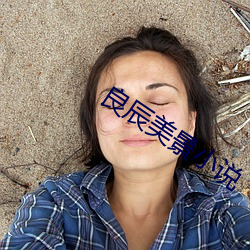 良辰美景小說