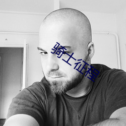 骑士征程