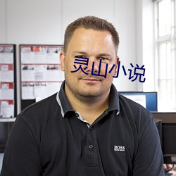 灵山小说 从心所欲）