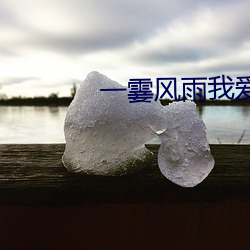 一霎风(風)雨我爱(愛)过你