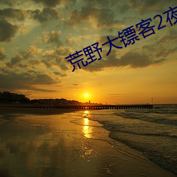 荒野大镖客2夜女兰 （记问之学）
