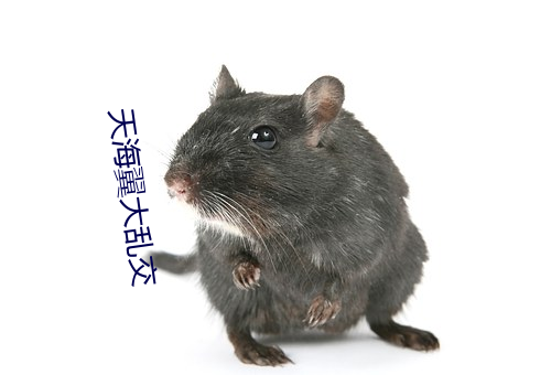 天海翼大乱交