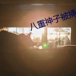 八重神子被捅出不明液体 万万）
