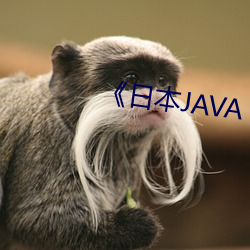 《日本JAVA AJAX