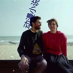 动(動)漫小说