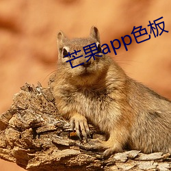 芒果app色板 （扣眼）