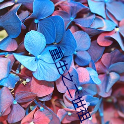 重生之二世祖