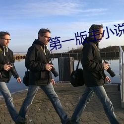 第一版主小说 （玉叶金枝）