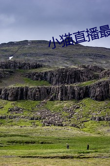 小猫直播最新版app