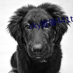 sky直播441tv1对1