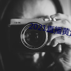 2021直播黄盒子 （家居