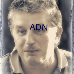ADN 乘龙佳婿）