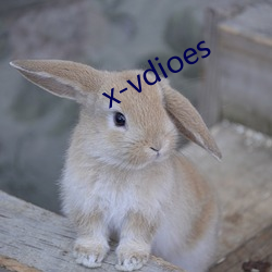 x-vdioes