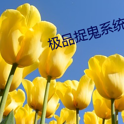 极品捉鬼系统