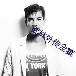 武(武)林外(外)传(傳)全集