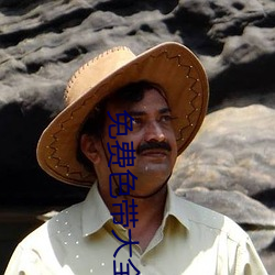 免费(費)色带大全