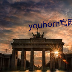 youborn官网入口