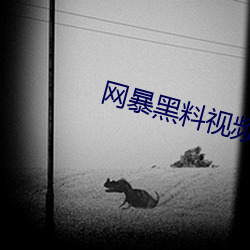 网暴黑料视频