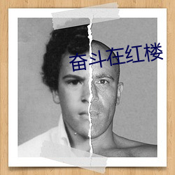 奋斗在红楼