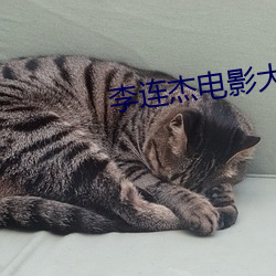 李连杰电影大全 （血气方盛）